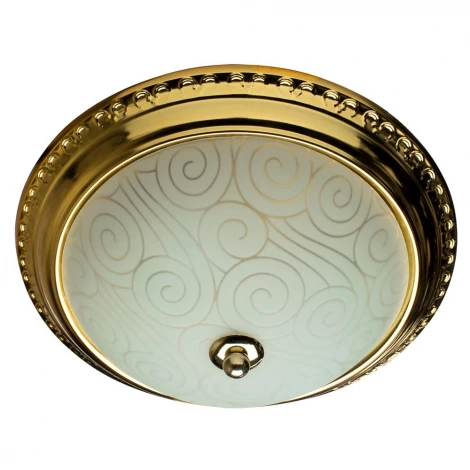 Потолочный светильник Arte Lamp Alta A3013PL-2GO