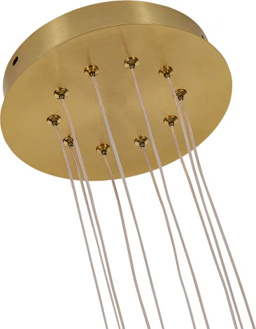 Подвесная люстра F-Promo Vigas 4469-5P (LED, 220V, на тросе)