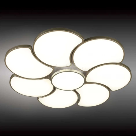 Потолочный светильник Omnilux Arielli OML-18507-94