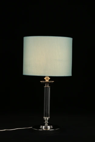 Интерьерная настольная лампа Aployt Nikolet APL.714.04.01 (220V)