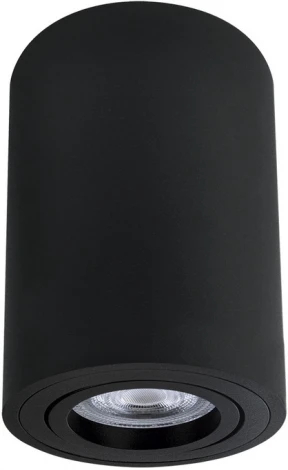 Накладной потолочный светильник Arte Lamp Sentry A1566PL-1BK (220V, круглые)