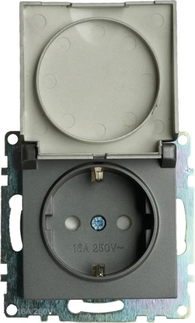 Розетка с заземлением защитной крышкой и шторками (графит) Stekker Катрин 49424