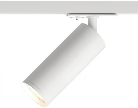 Трековый светильник Denkirs DK620 DK6202-WH (220V, круглые)