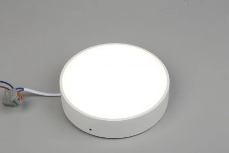Потолочный светильник круглый Aployt Evon APL.0114.09.18 (LED, 220V, круглые)