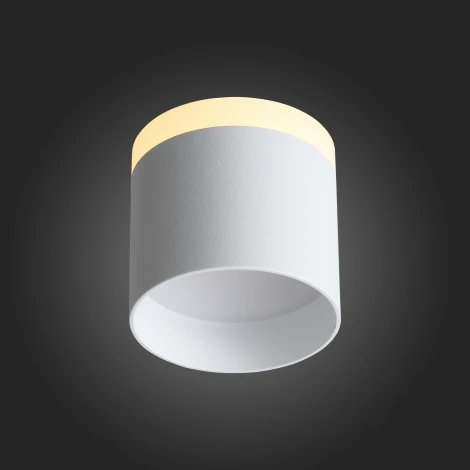 Накладной точечный светильник ST Luce Panaggio ST102.502.09 (LED, 220V, круглые)