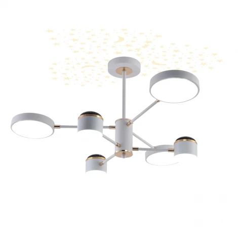 Потолочная люстра на штанге светодиодная звездное небо Escada Interstellar 10255/6LED (регулировка яркости, 220V, звездное небо, проекция)