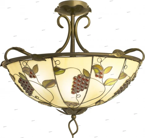 Snowlight 373 1300373/3CL