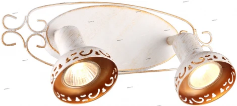 Спот Arte Lamp Focus A5219AP-2WG