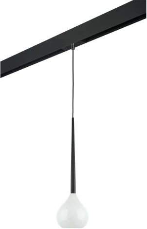 Трековый светильник однофазный 220V Lightstar Forma PRO808110