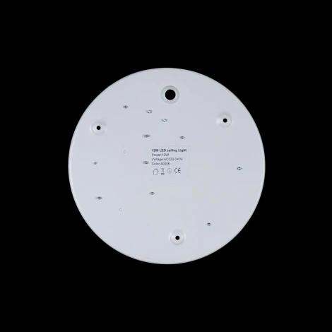 Потолочный светильник Loft IT Axel 10002/12 White