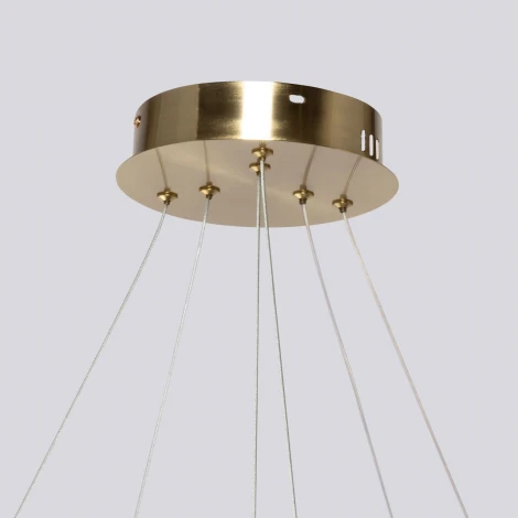 Подвесной светильник DeMarkt Толедо 312015502 (LED, 220V, на тросе)