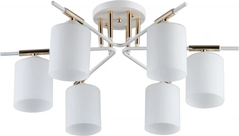 Потолочная люстра Rivoli Amanda 9092-306