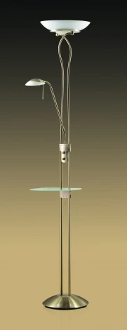 Торшер Odeon Light Axton 2487/F
