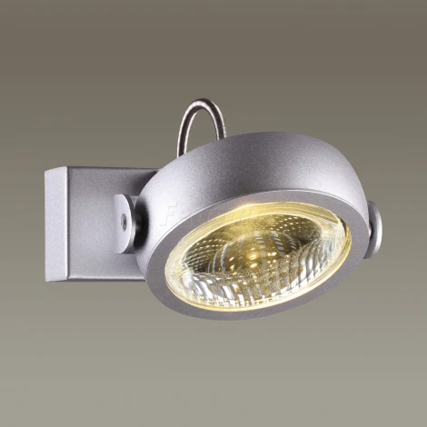 Спот Odeon Light Flabuna 3494/10WL