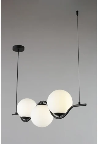 Подвесной светильник Aployt Jagna APL.312.03.03 (220V, на тросе, шарики)