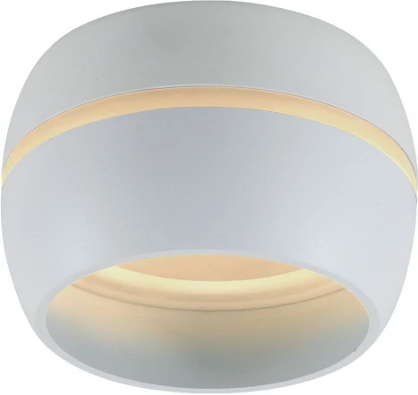 Накладной точечный светильник Feron 41509 (220V, шар)