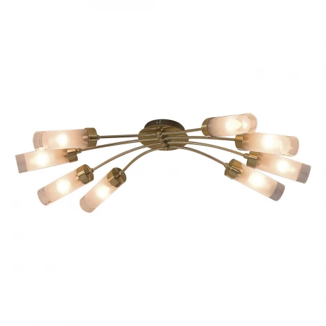 Потолочная люстра Citilux Ovale CL102182