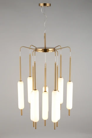 Подвесная люстра Aployt Carla APL.010.03.80 (LED, 220V, на тросе)