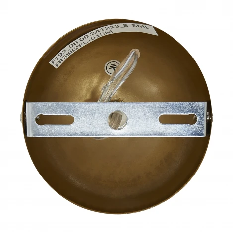 Подвесной светильник Freya Grotta FR5561PL-01SM