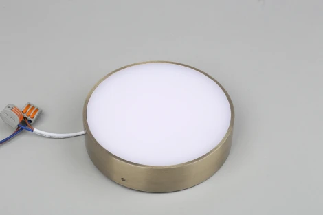 Потолочный светильник круглый Aployt Evon APL.0113.29.18 (LED, 220V, круглые)