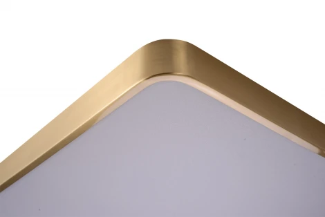 Потолочный светильник Zortes Monna ZRS.1209.09 (LED, 220V)