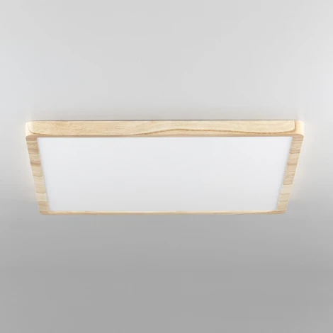 Настенно-потолочный светильник Citilux Бейсик CL738K502V (регулировка яркости, LED, 220V, IP40)