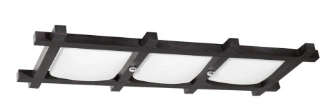 Потолочный светильник Дубравия Дина 192-41-23