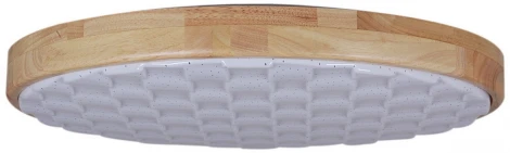 Потолочный светильник круглый светодиодный с пультом и регулировкой цветовой температуры Reluce 60530-0.2-60W (220V, круглые)