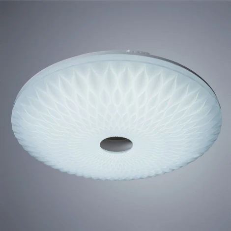 Потолочный светильник Arte Lamp Piastra A2460PL-1WH