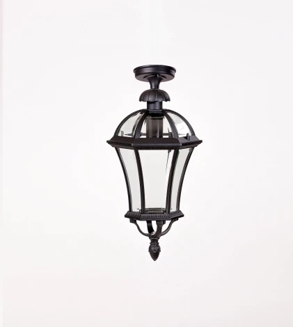 Потолочный светильник уличный Oasis Light ROMA L 95205LA Bl (220V, фонарь, IP44)