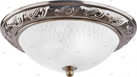 Потолочный светильник Arte Lamp Alta A3019PL-2AB