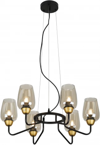 Подвесная люстра Rivoli Gera 4065-206