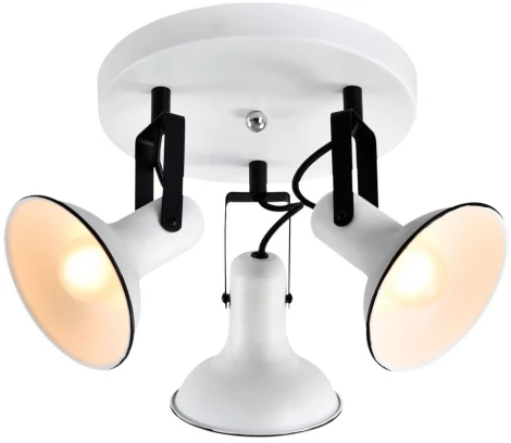 Спот Lussole Fargo LSP-8803 (220V)