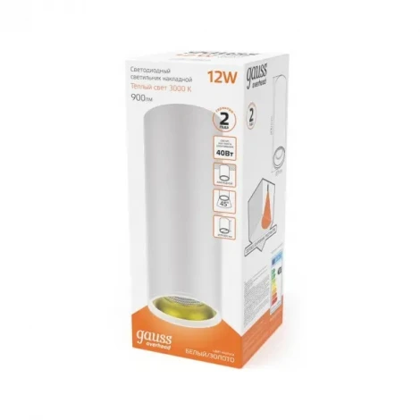 Накладной точечный светильник Gauss HD012 (LED, 220V, круглые)