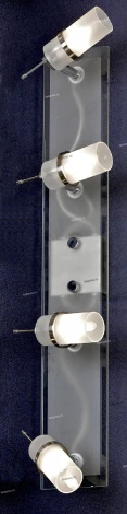 Настенно-потолочный светильник Lussole Piemonte LSL-5809-04