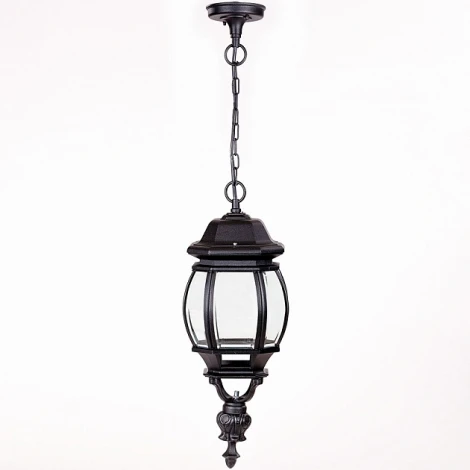 Уличный светильник подвесной Oasis Light 83405L Bl (220V, на цепи, IP44)