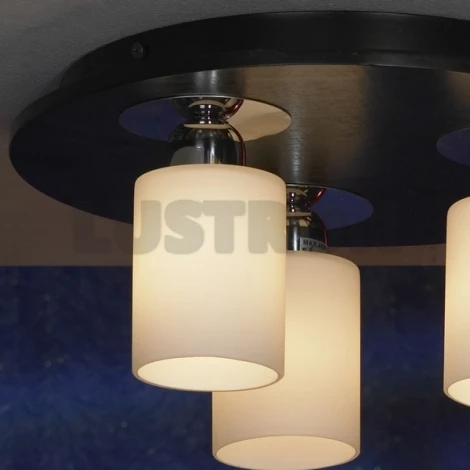 Потолочный светильник Lussole Caprile LSF-6107-03