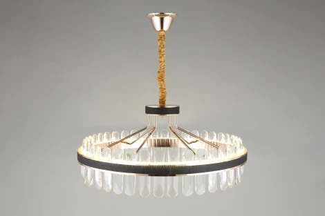 Подвесная люстра Aployt Honori APL.027.03.102 (LED, 220V, на цепи, кольцо)