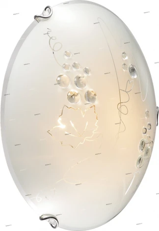 Настенно-потолочный светильник Sonex Traube 104/K