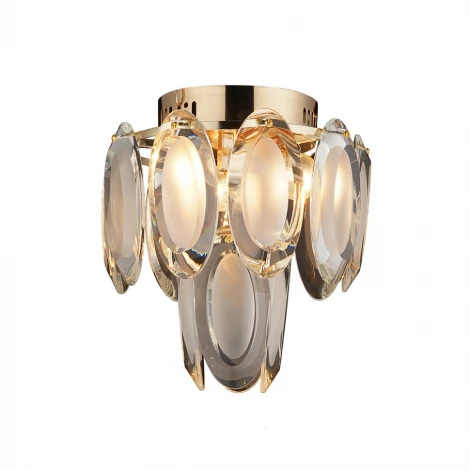 Потолочная люстра Wedo Light Erika 70647.01.01.03