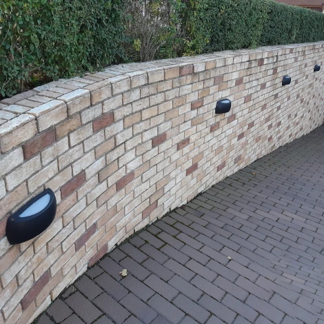 Настенный светильник уличный Fumagalli Francy 1A1.000.000.AYF1R (220V, IP66)