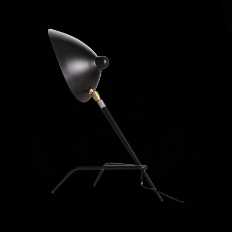 Интерьерная настольная лампа ST Luce Spruzzo SL305.404.01