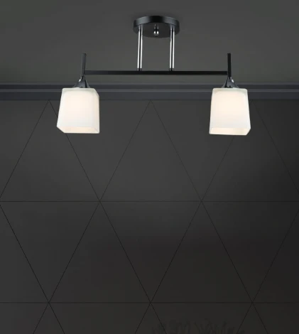 Потолочная люстра Wedo Light Semel WD3640/2C-BK-CR-WT