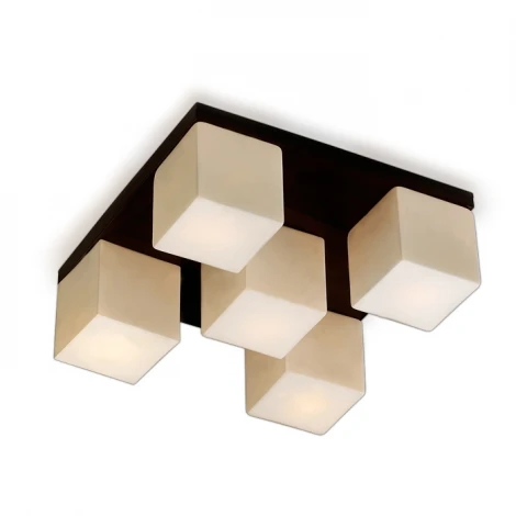 Потолочный светильник Odeon Light Cubet 2043/5C