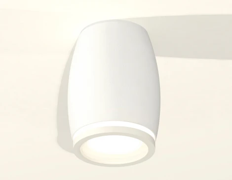 Накладной точечный светильник Ambrella XS XS1122020 (круглые)