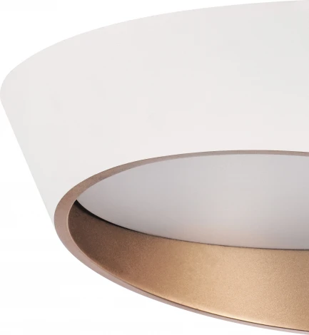 Потолочный светильник круглый светодиодный Lightstar Celesta 809456 (220V, круглые)