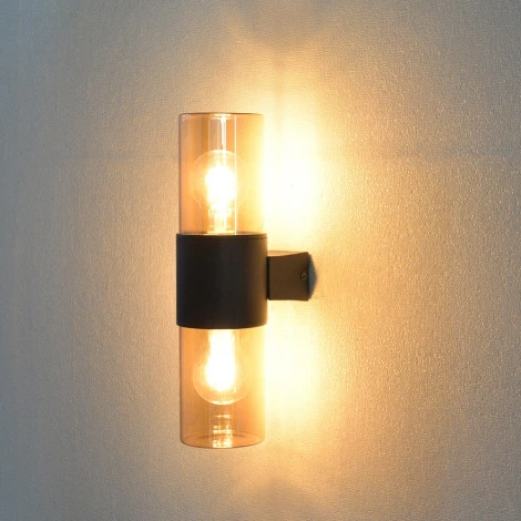 Настенный уличный светильник Arte Lamp A6515AL-2BK (220V, круглые, IP54)