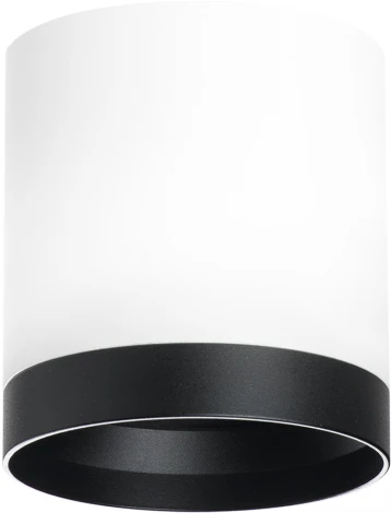 Светильник точечный накладной Lightstar Rullo R34863487 (220V, круглые)