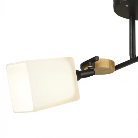 Потолочная люстра Wedo Light Ivetta 66582.01.14.02