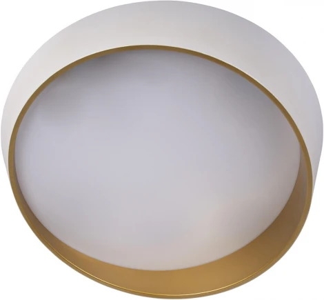 Потолочный светильник круглый Coin 10199 White Loft It (LED, 220V, круглые)